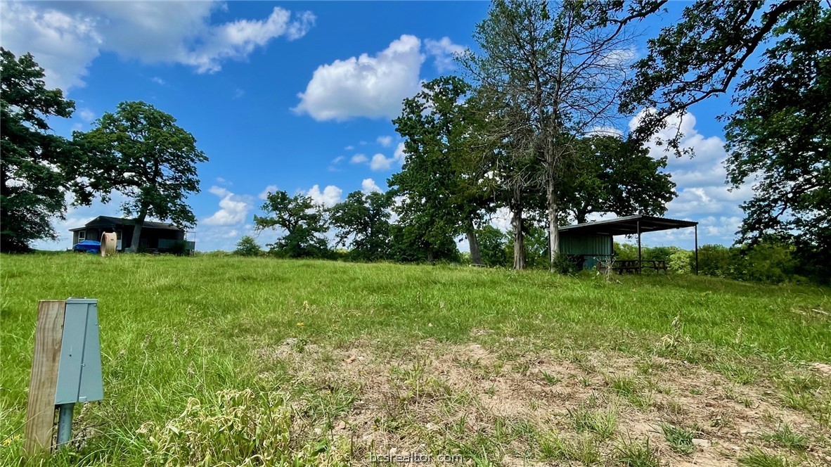 Tbd Tbd Wilson Pasture Road Bryan, TX 77808 - Photo 19 of 29 a view of a garden with a fountain