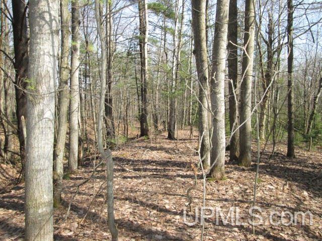 Tbd Golf Course Road Calumet, MI 49913 - Photo 16 of 21