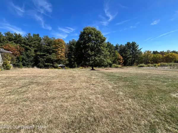 a view of a field with a tree in the background