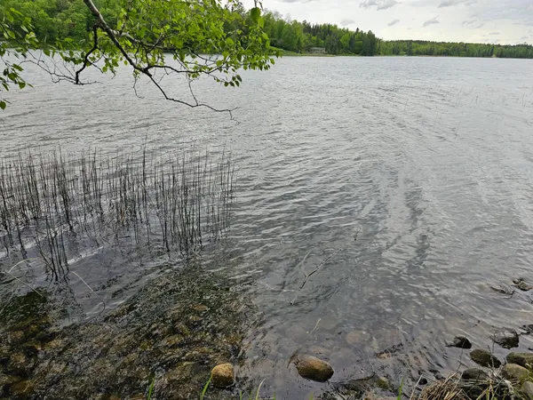 $490,000 | 35366 East Boot Lake Road, Park Rapids, MN 56470