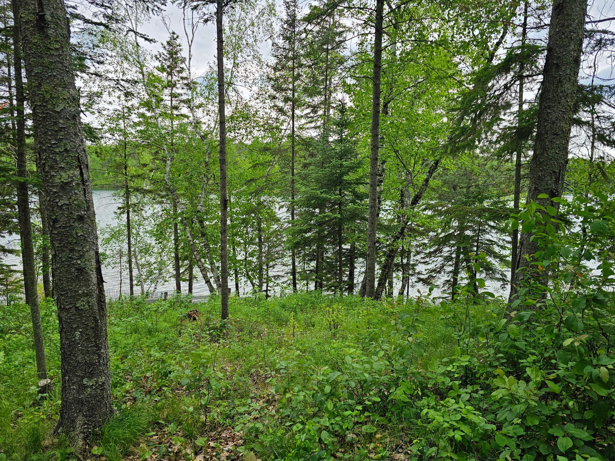 35366 East Boot Lake Road Park Rapids, MN 56470 - Photo 12 of 32