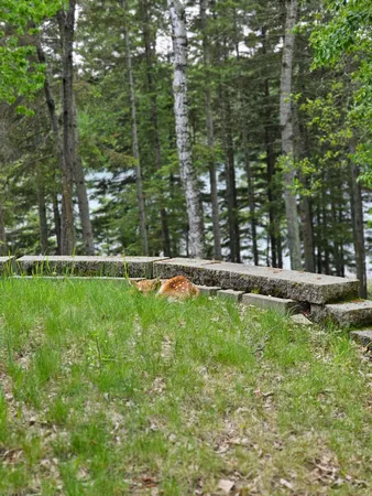 $490,000 | 35366 East Boot Lake Road, Park Rapids, MN 56470