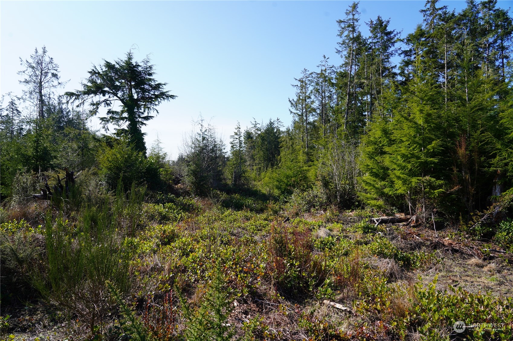 23505 Sandridge Road Ocean Park, WA 98640 - Photo 14 of 15 Gallery Image 14