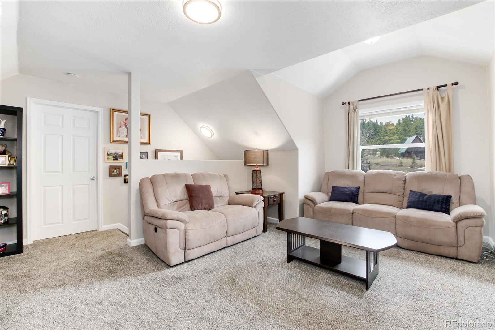 110 Alice Road Idaho Springs, CO 80452 - Photo 19 of 40 Gallery Image 19