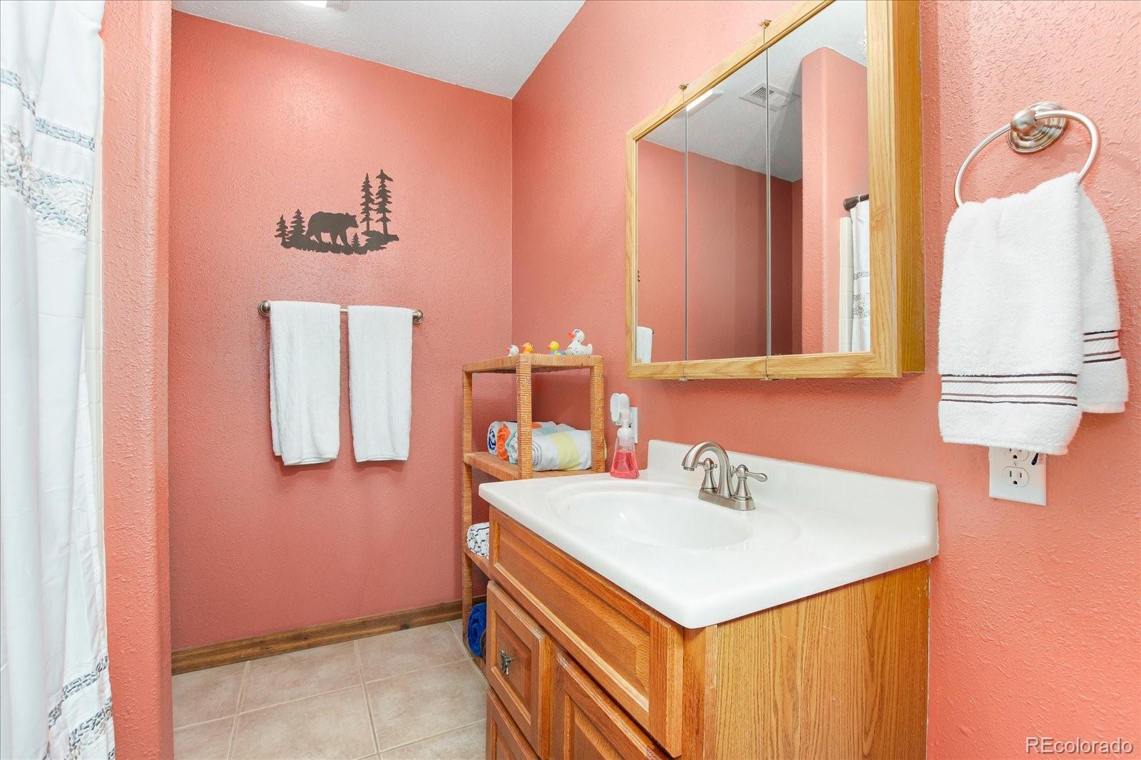 110 Alice Road Idaho Springs, CO 80452 - Photo 31 of 40 Gallery Image 31