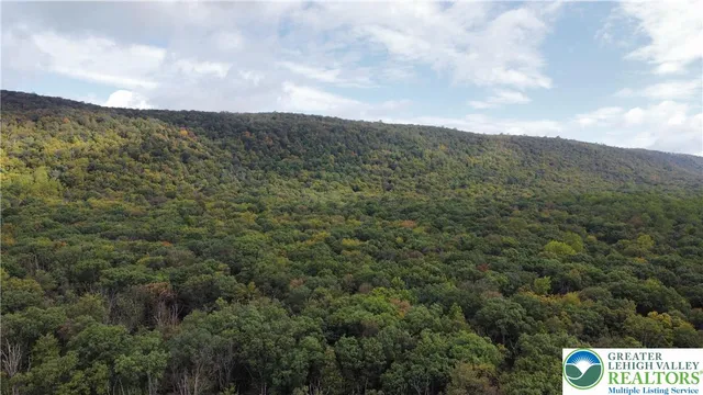 a view of a city with lush green forest