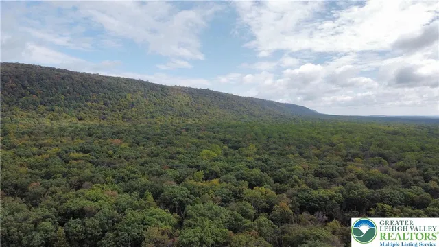 a view of a mountain in the distance in a field
