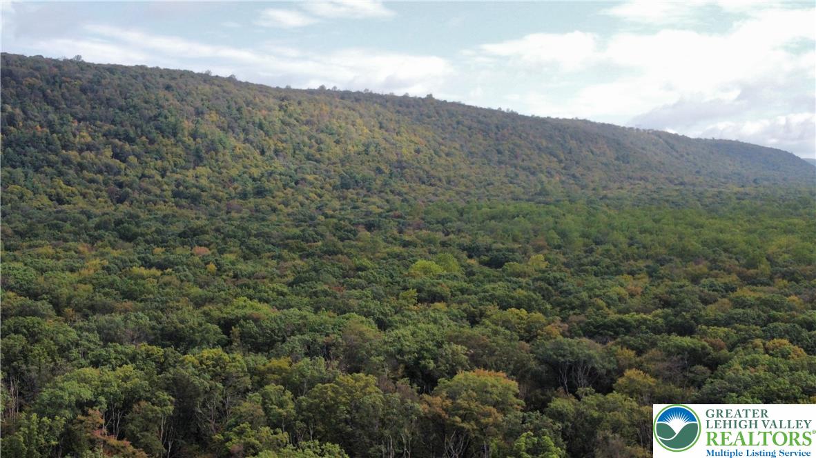 North Benders Drive Bath, PA 18014 - Photo 13 of 13 a view of a mountain in the distance in a field
