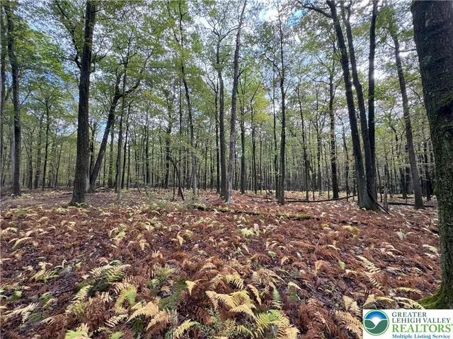 a view of outdoor space and tree