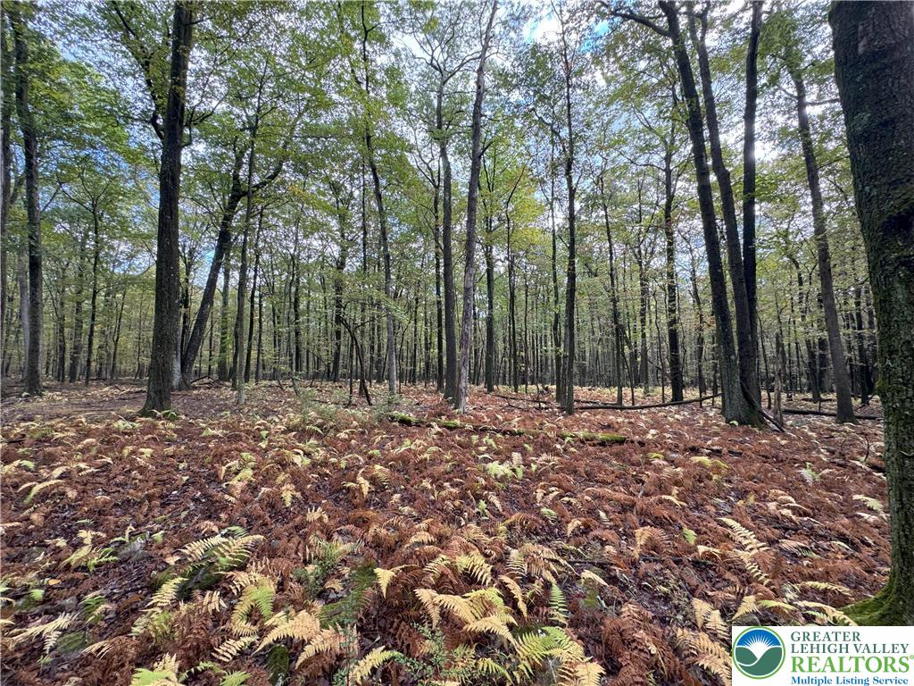 North Benders Drive Bath, PA 18014 - Photo 4 of 13 a view of outdoor space with trees