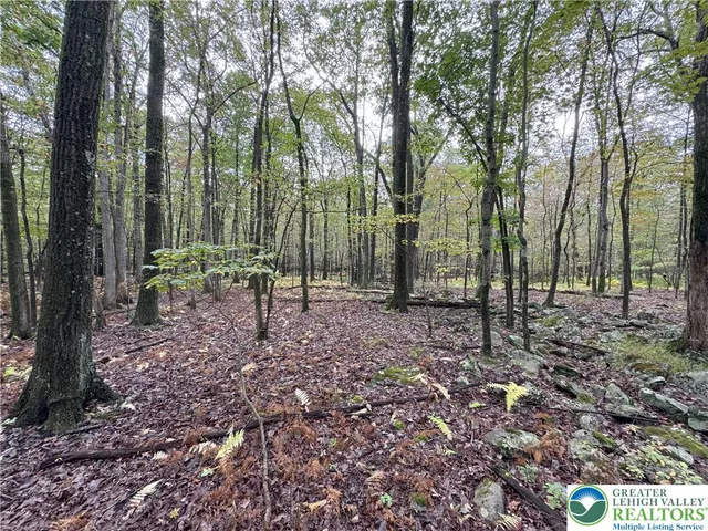 a view of outdoor space with lots of trees