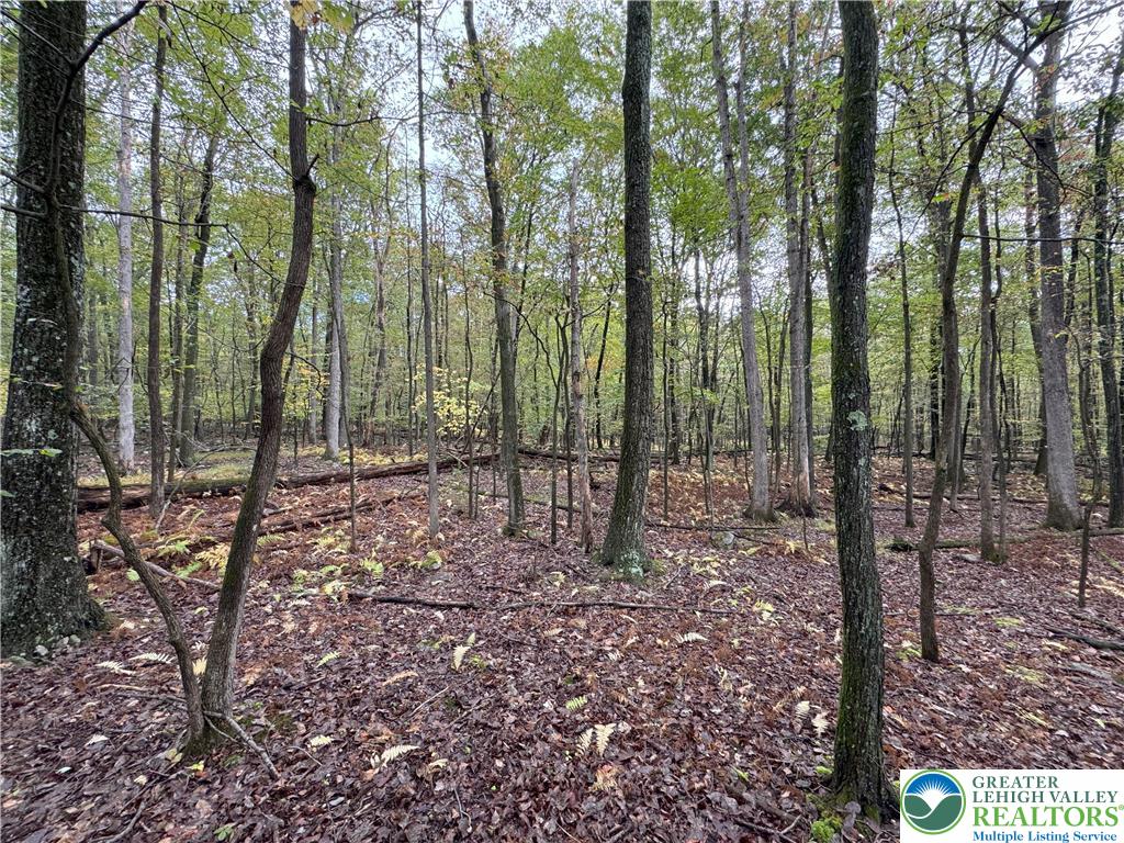 North Benders Drive Bath, PA 18014 - Photo 6 of 13 a view of outdoor space with lots of trees