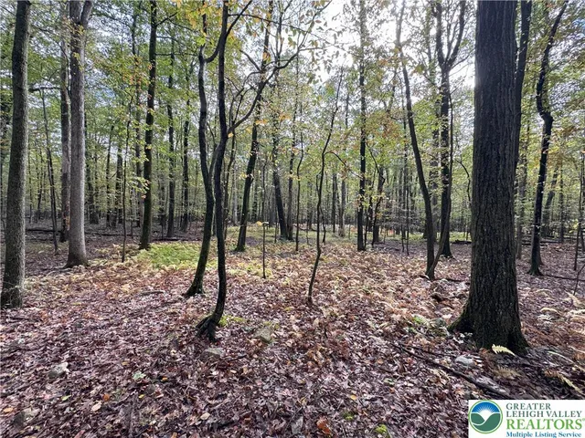 a view of a outdoor space