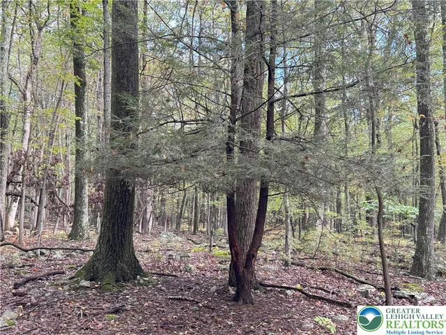 a large green field with lots of trees