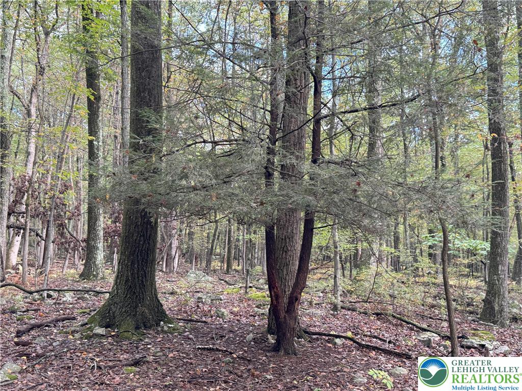 North Benders Drive Bath, PA 18014 - Photo 8 of 13 a view of a outdoor space