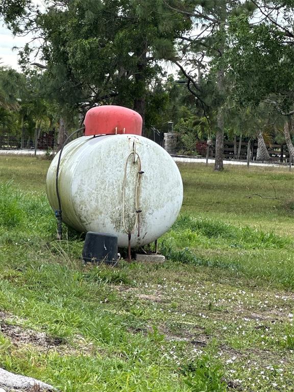 3401 Sand Road Cape Coral, FL 33993 - Photo 9 of 27 a view of a backyard with a fountain and large trees