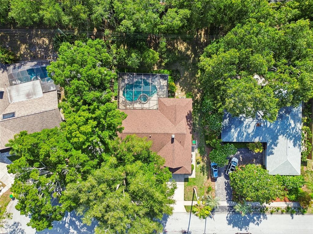 515 Sandy Hook Road Palm Harbor, FL 34683 - Photo 66 of 83 Gallery Image 66