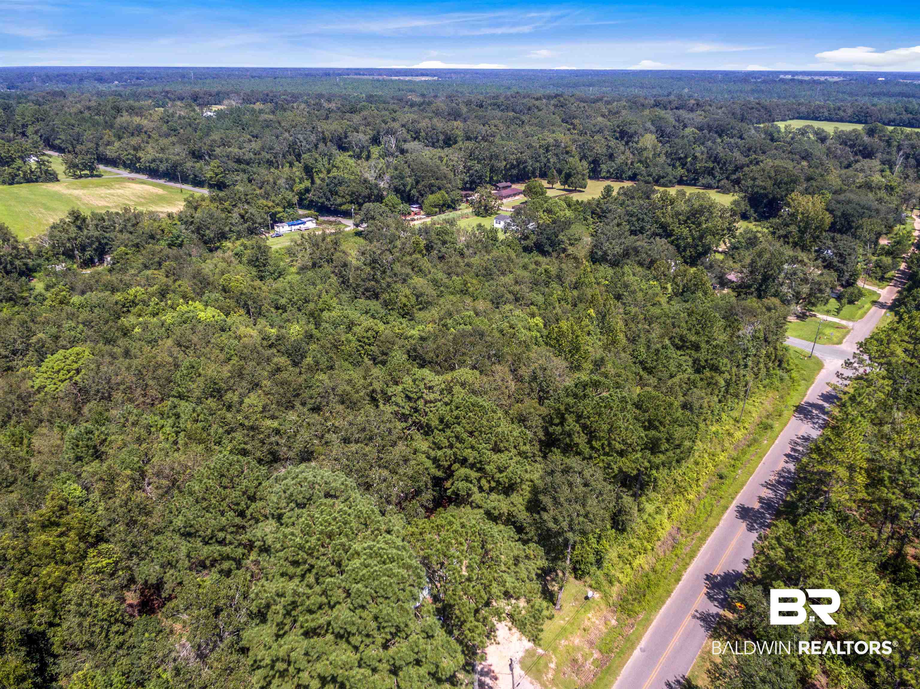 0 Larry Street Road Daphne, AL 36526 - Photo 1 of 4