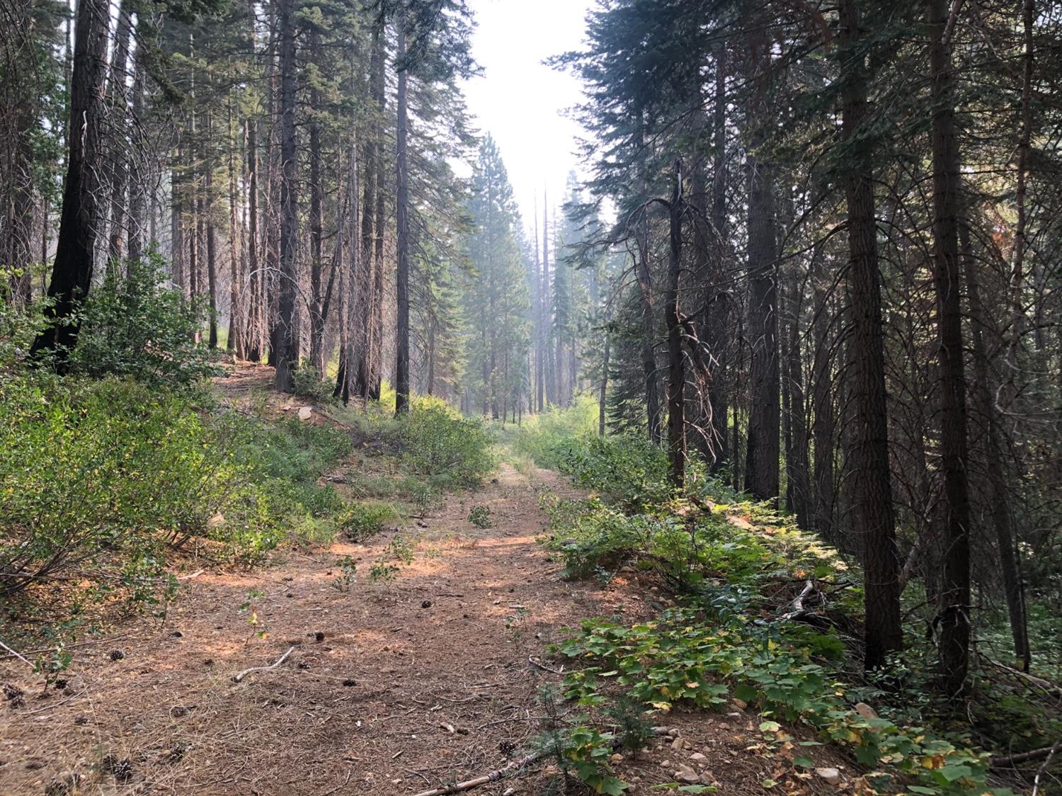 0 Foresthill/soda Springs Road, Emigrant Gap, CA 95715 Compass