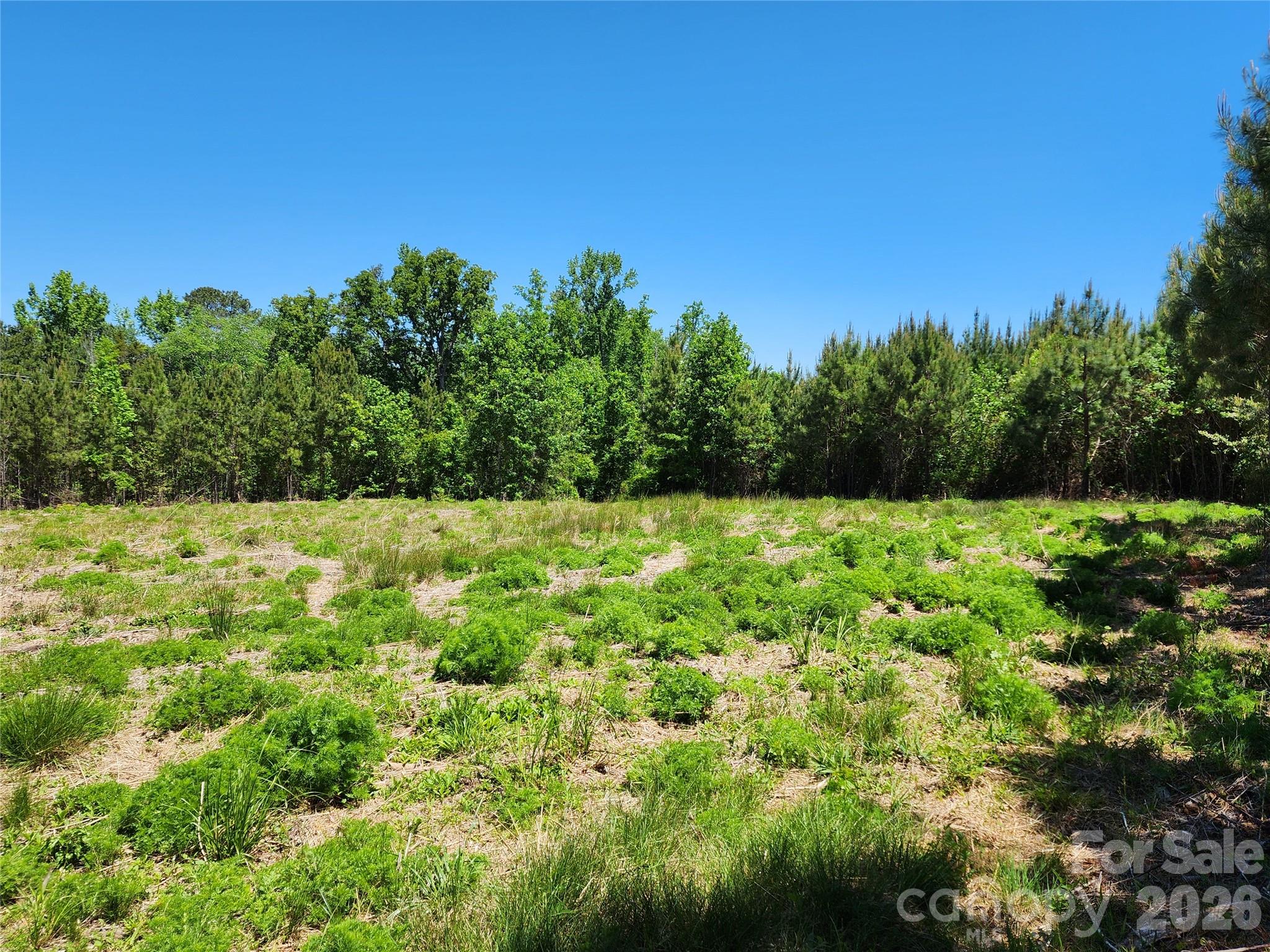 2423 Pine Grove Church Road Eagle Springs, NC 27242 - Photo 4 of 17