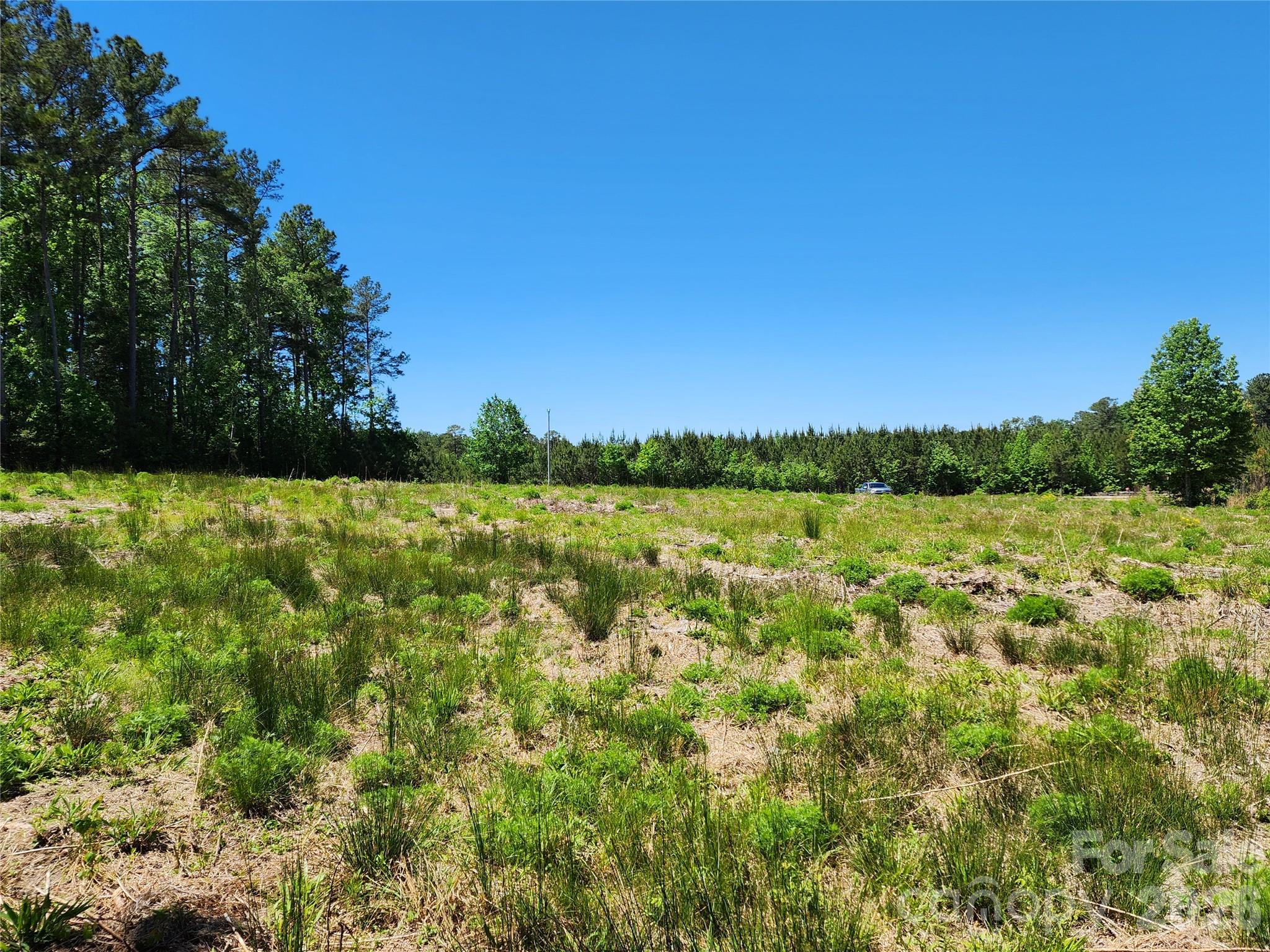 2423 Pine Grove Church Road Eagle Springs, NC 27242 - Photo 5 of 17