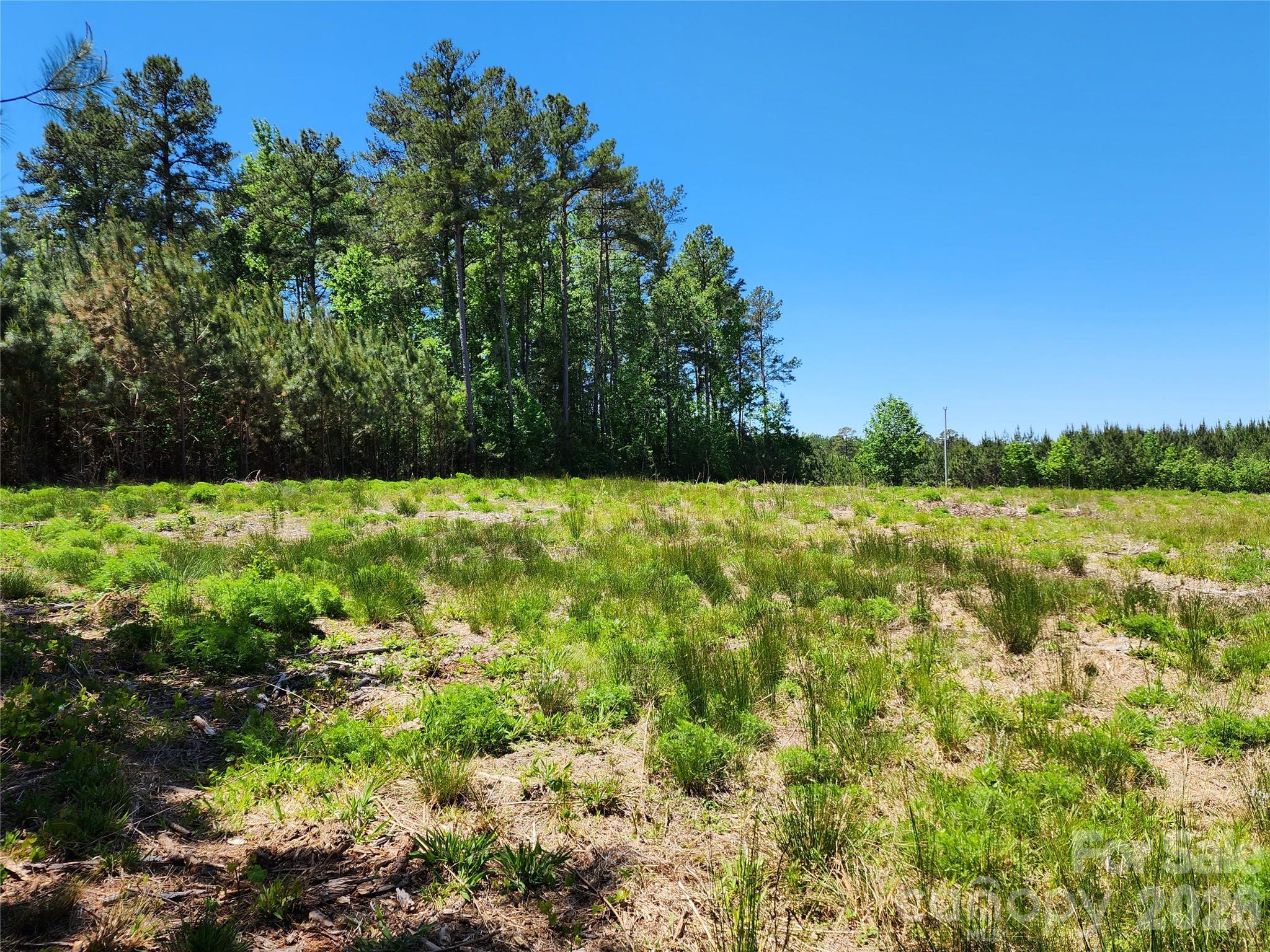 2423 Pine Grove Church Road Eagle Springs, NC 27242 - Photo 6 of 17