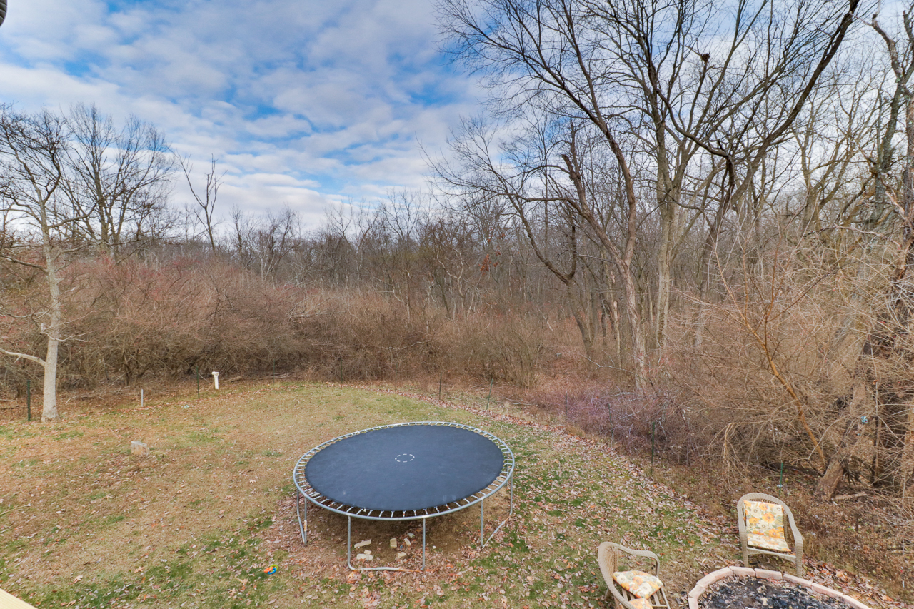938 Kickapoo Drive Danvers, IL 61732 - Photo 41 of 49 a view of a backyard of a house