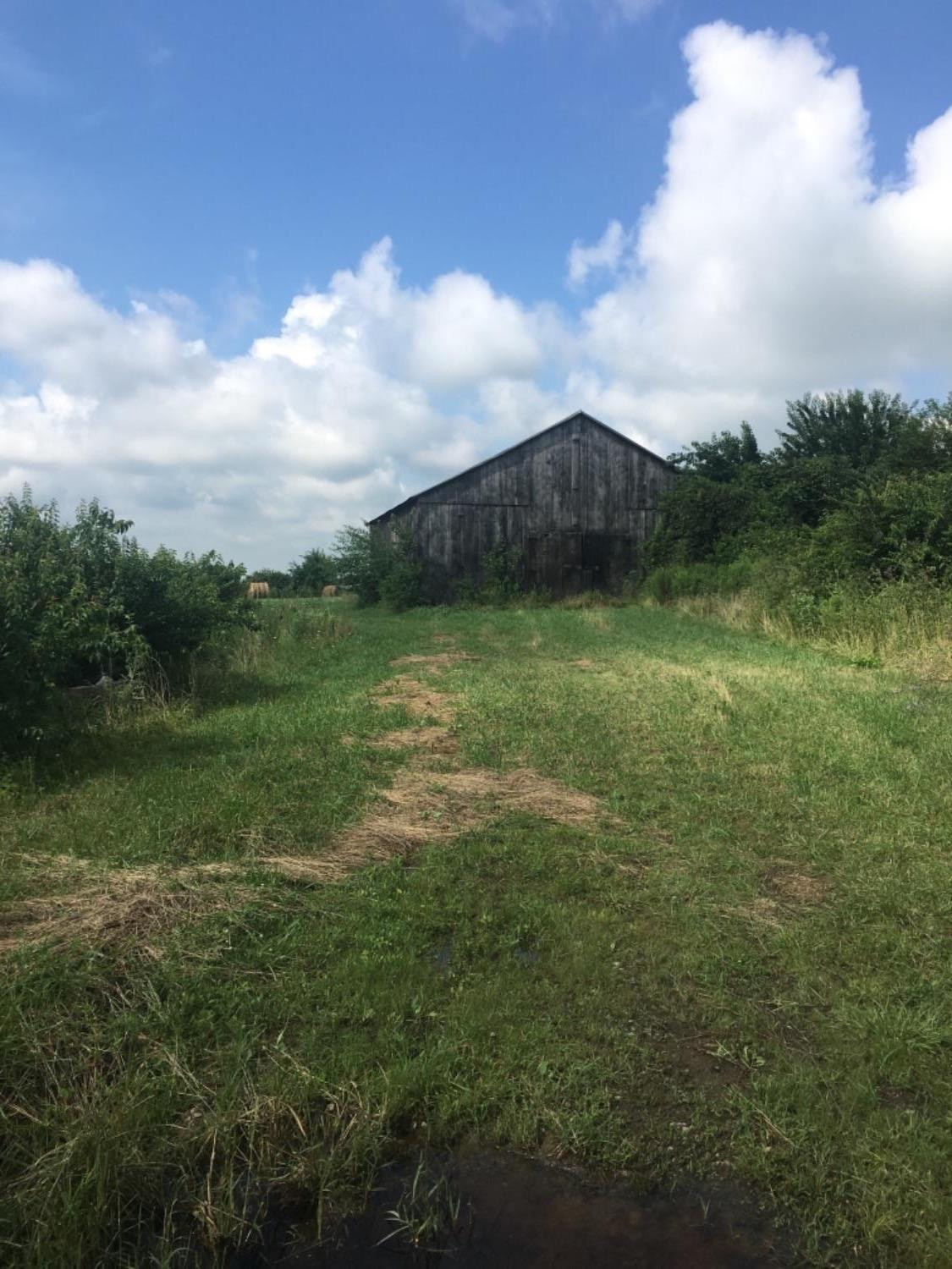 400 Oldson Road Paris, KY 40361 - Photo 13 of 73 Photo 13