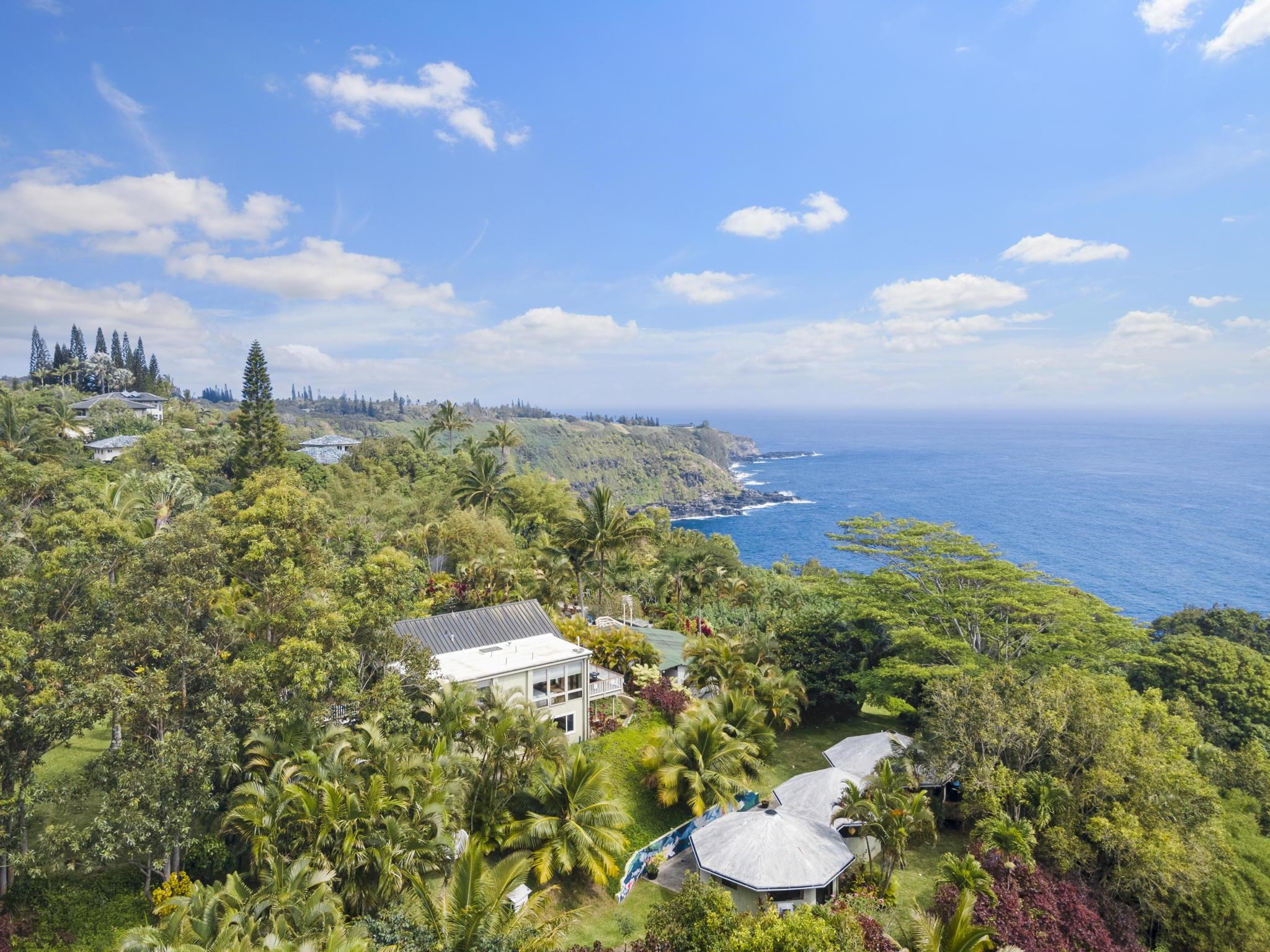 71 Door Of Faith Road Haiku, HI 96708 - Photo 3 of 30