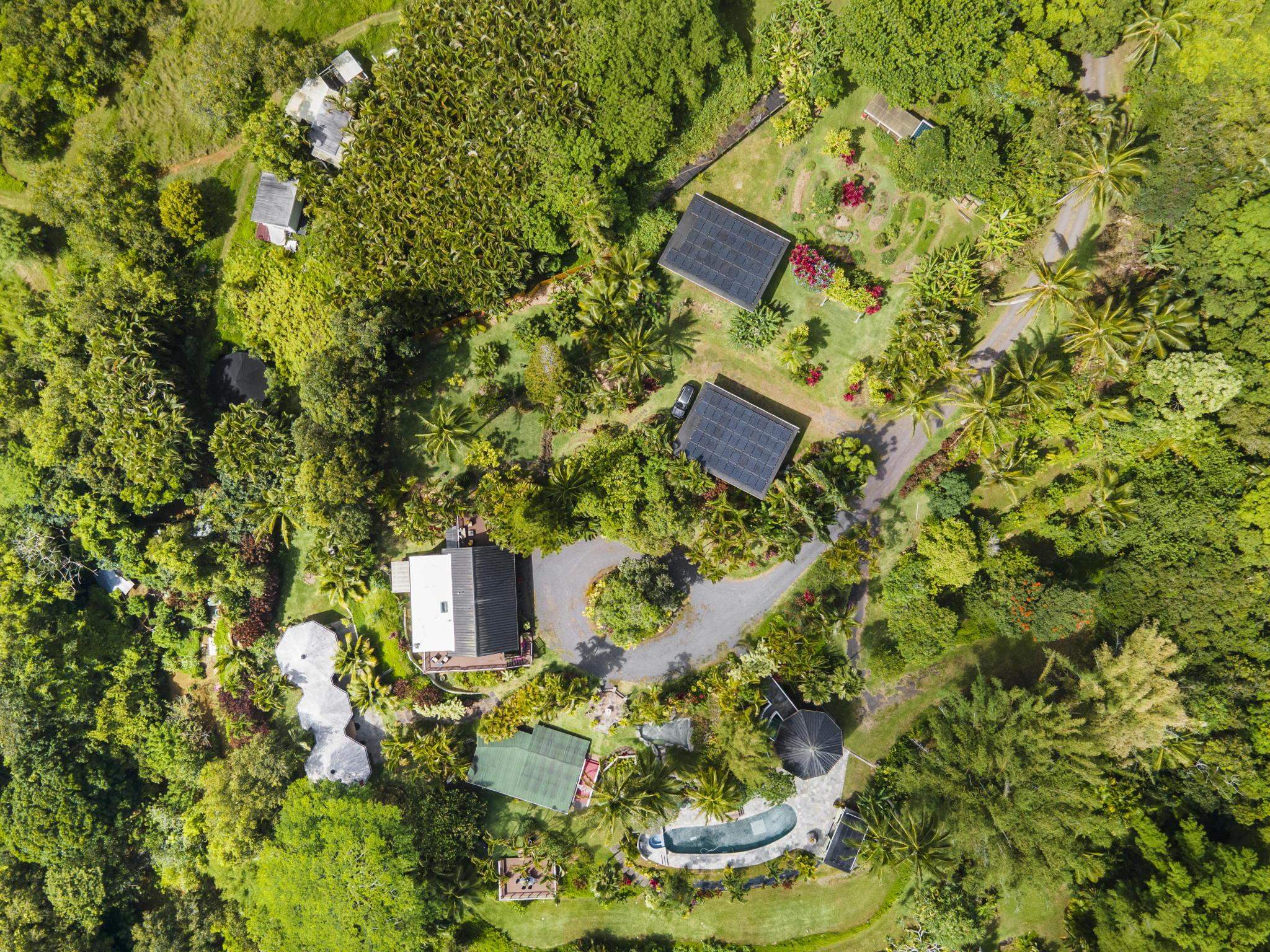 71 Door Of Faith Road Haiku, HI 96708 - Photo 4 of 30 a plant that is in front of a tree