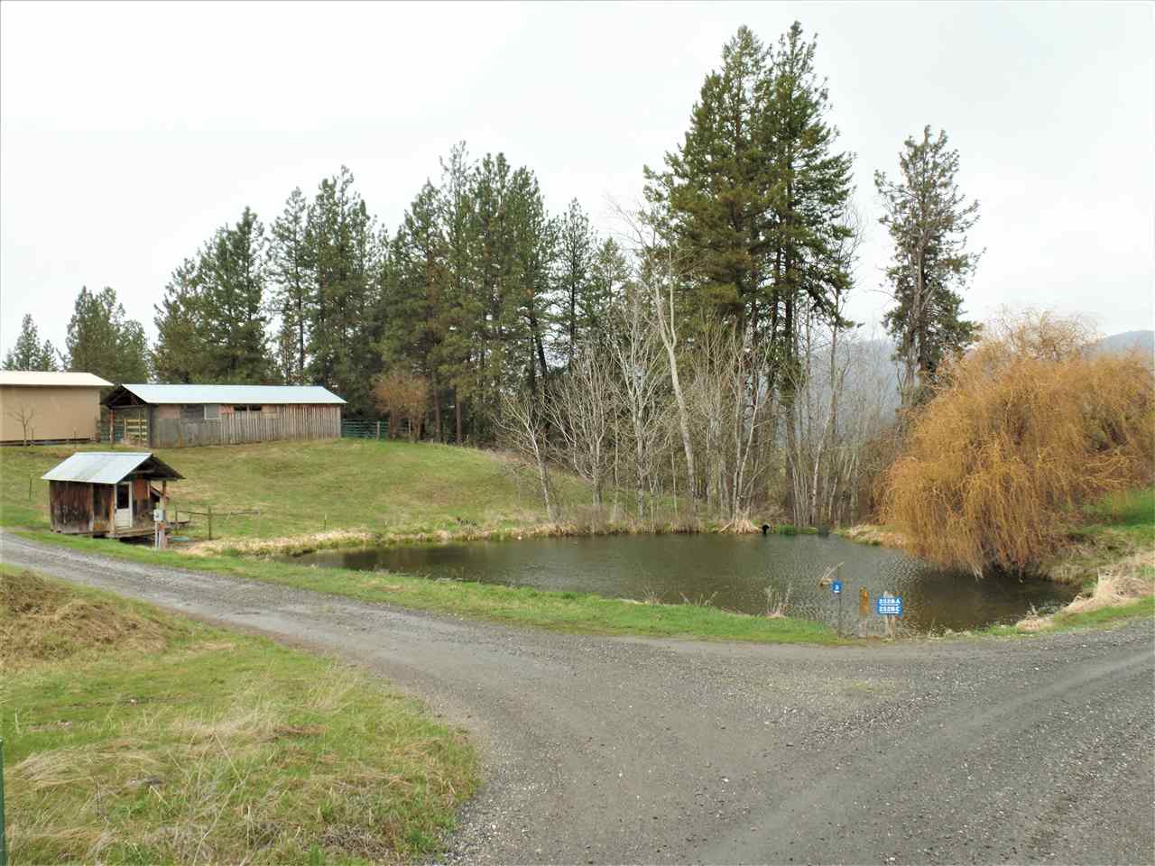 2528 South A S 25th Highway Rice, WA 99167 - Photo 3 of 20 Gallery Image 3