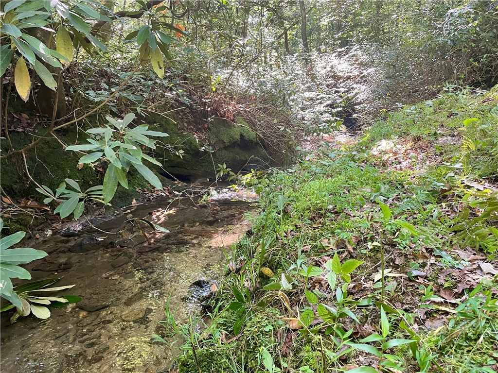 551 Good Life Way Salem, SC 29676 - Photo 39 of 43 Creek Boardering Property