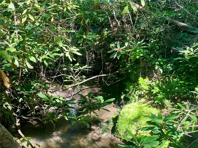 $449,000 | 551 Good Life Way, Salem, SC 29676