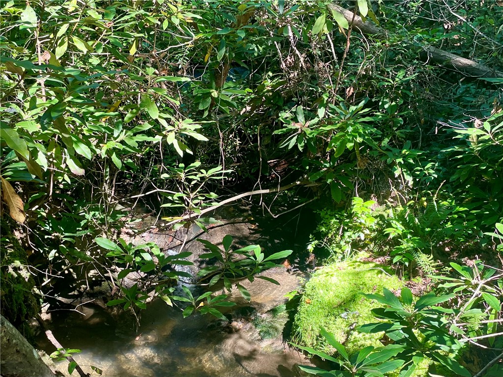 551 Good Life Way Salem, SC 29676 - Photo 40 of 43 Creek Boardering Property