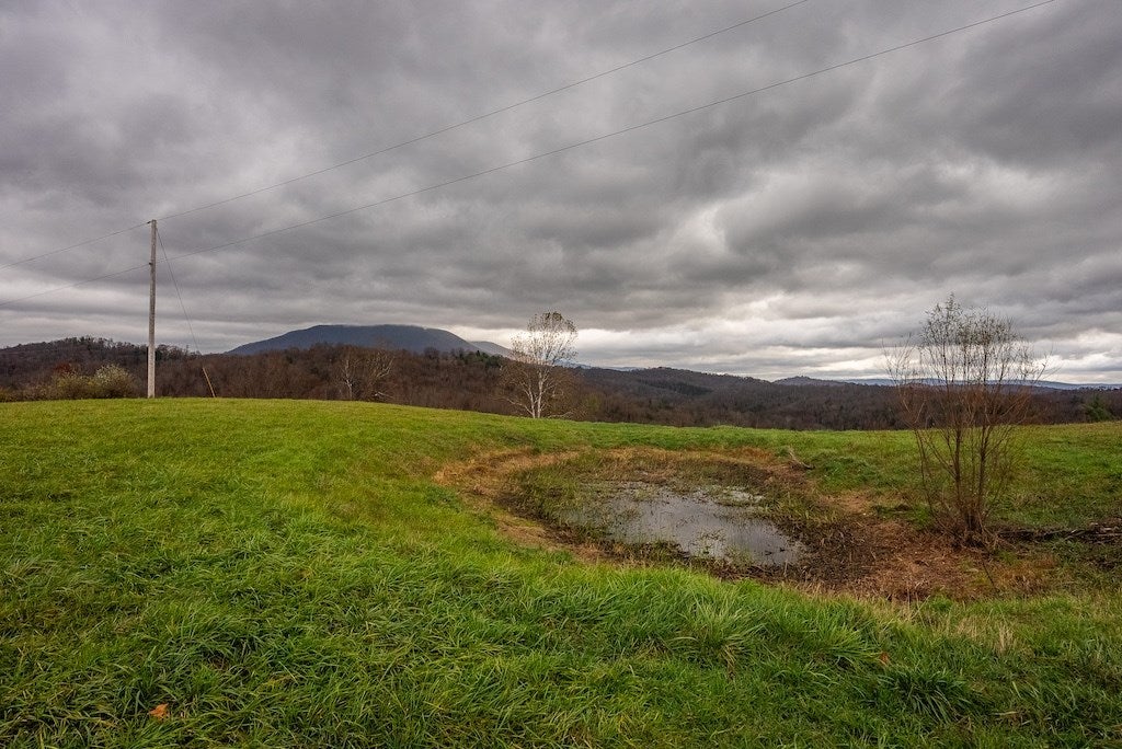Lot 2 Curve Road Pearisburg, VA 24134 - Photo 20 of 34 Gallery Image 20