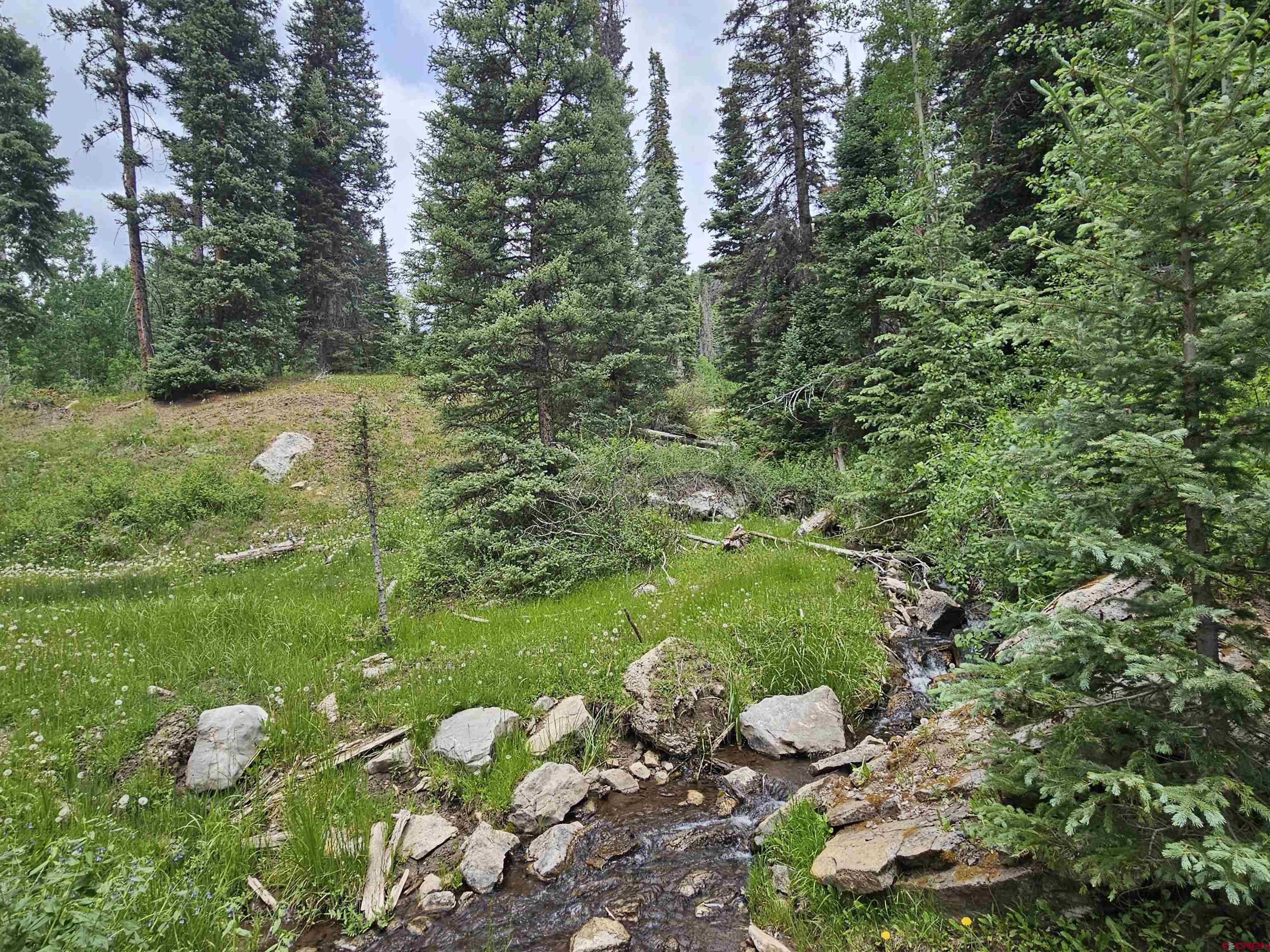 4566 Middle Mountain Road Bayfield, CO 81122 - Photo 4 of 12