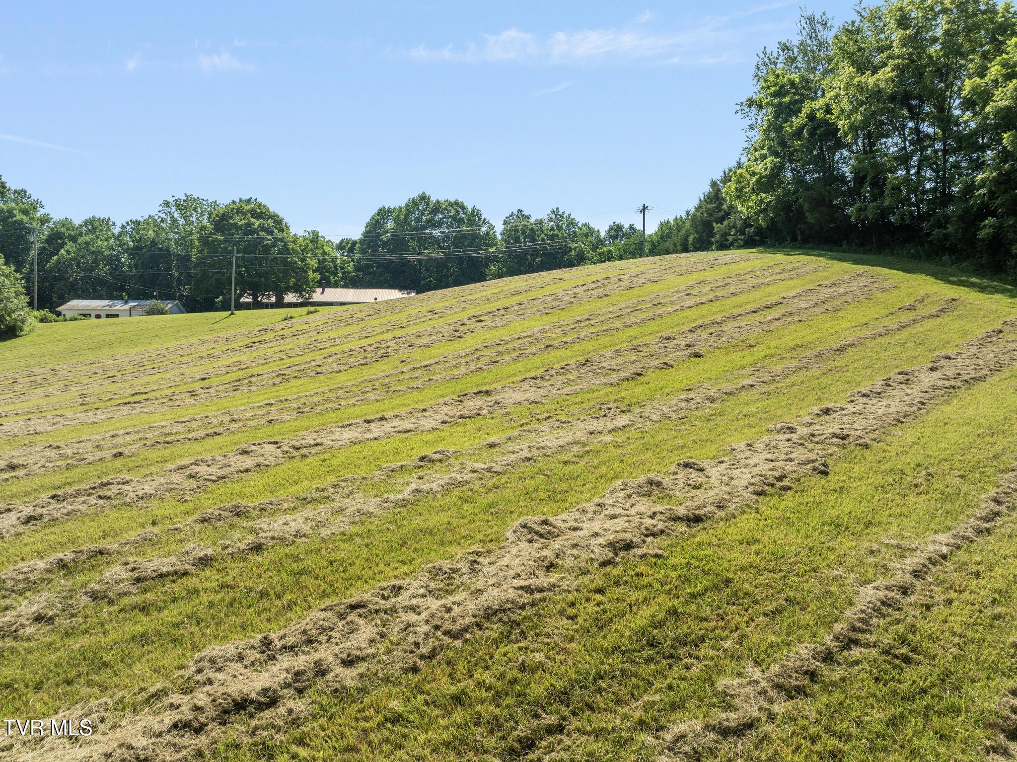 Tbd Bill Gourley Road Chuckey, TN 37641 - Photo 5 of 23 DJI_0899