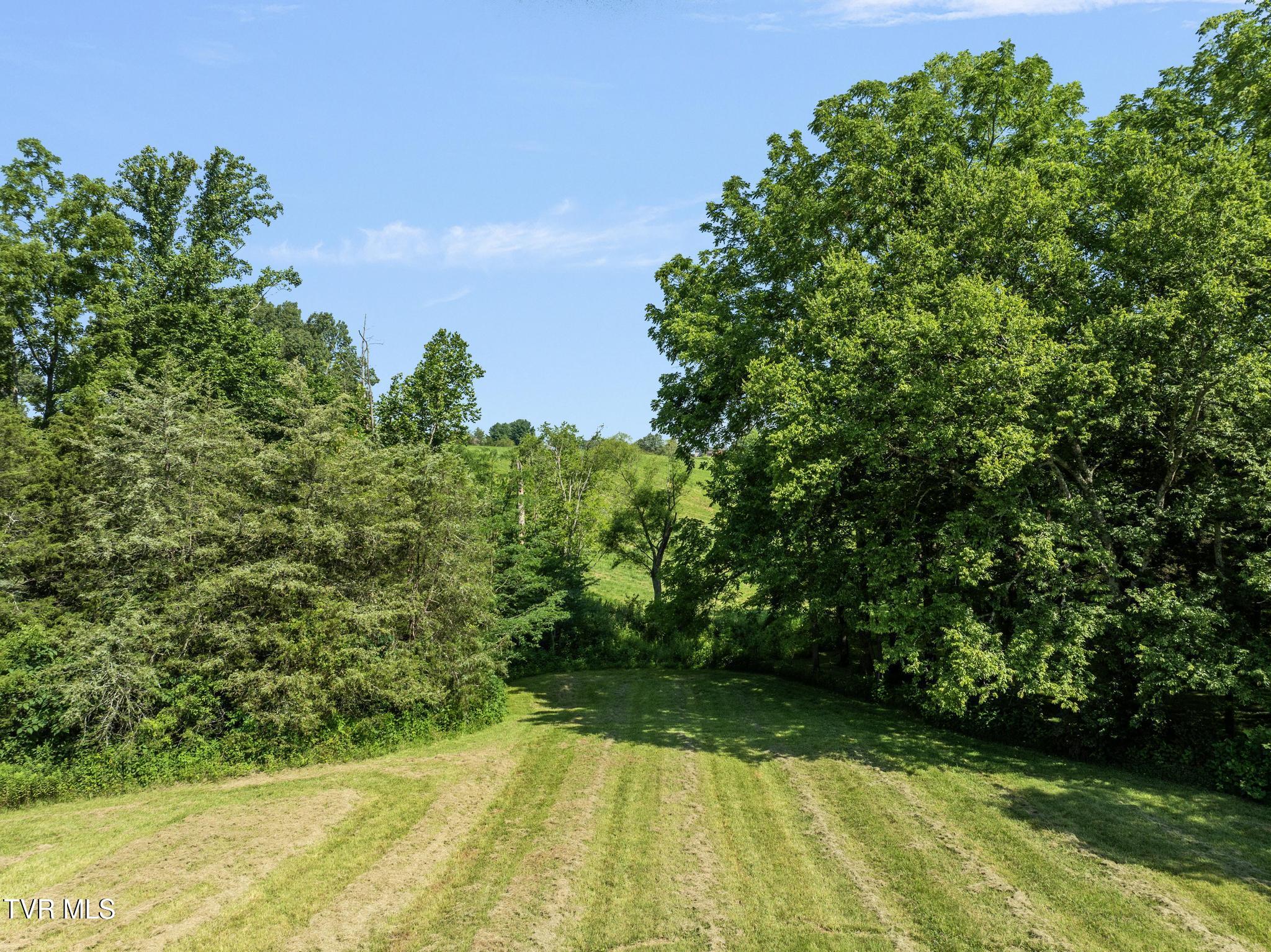 Tbd Bill Gourley Road Chuckey, TN 37641 - Photo 6 of 23 DJI_0887