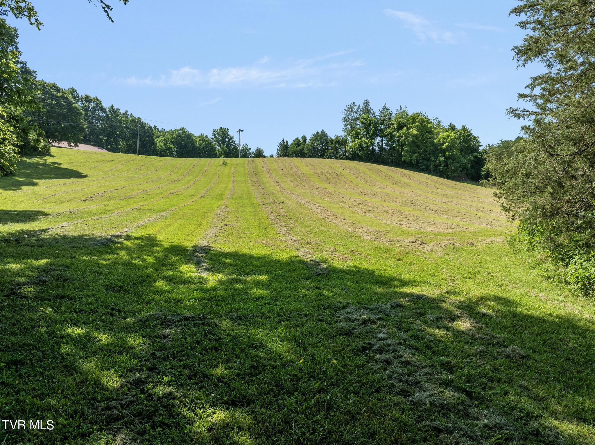 Tbd Bill Gourley Road Chuckey, TN 37641 - Photo 7 of 23 DJI_0893
