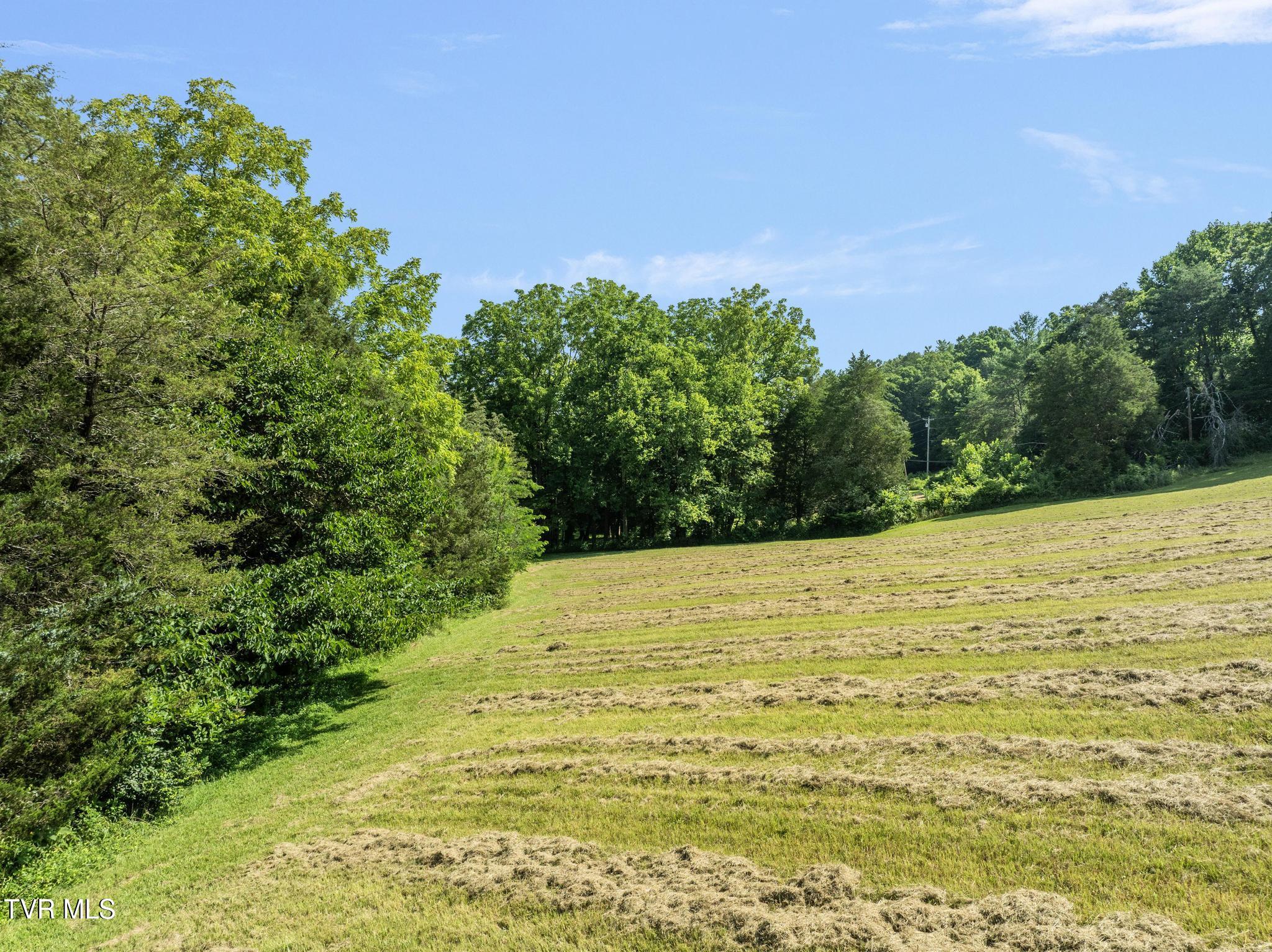 Tbd Bill Gourley Road Chuckey, TN 37641 - Photo 8 of 23 DJI_0896