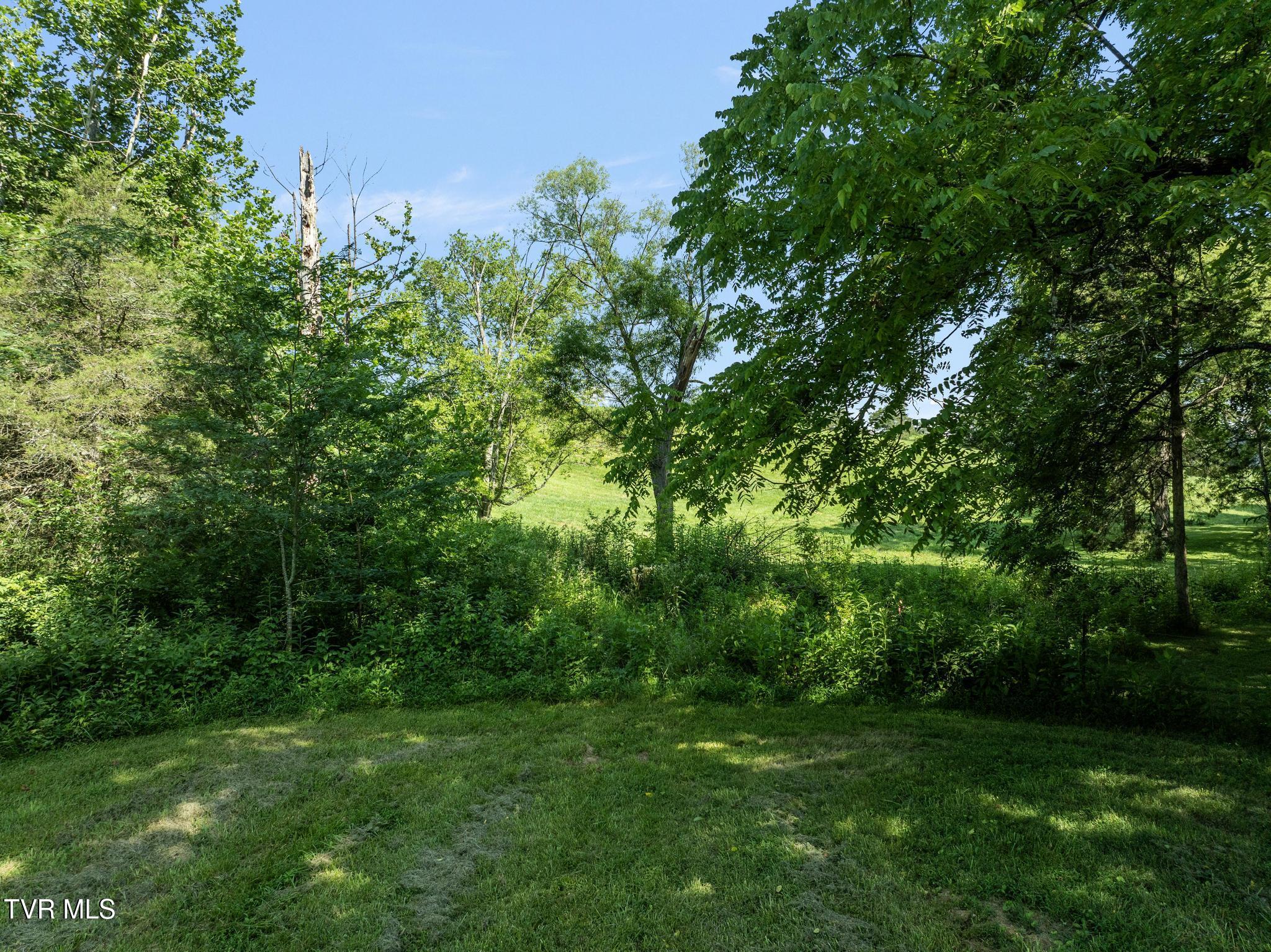 Tbd Bill Gourley Road Chuckey, TN 37641 - Photo 9 of 23 DJI_0890