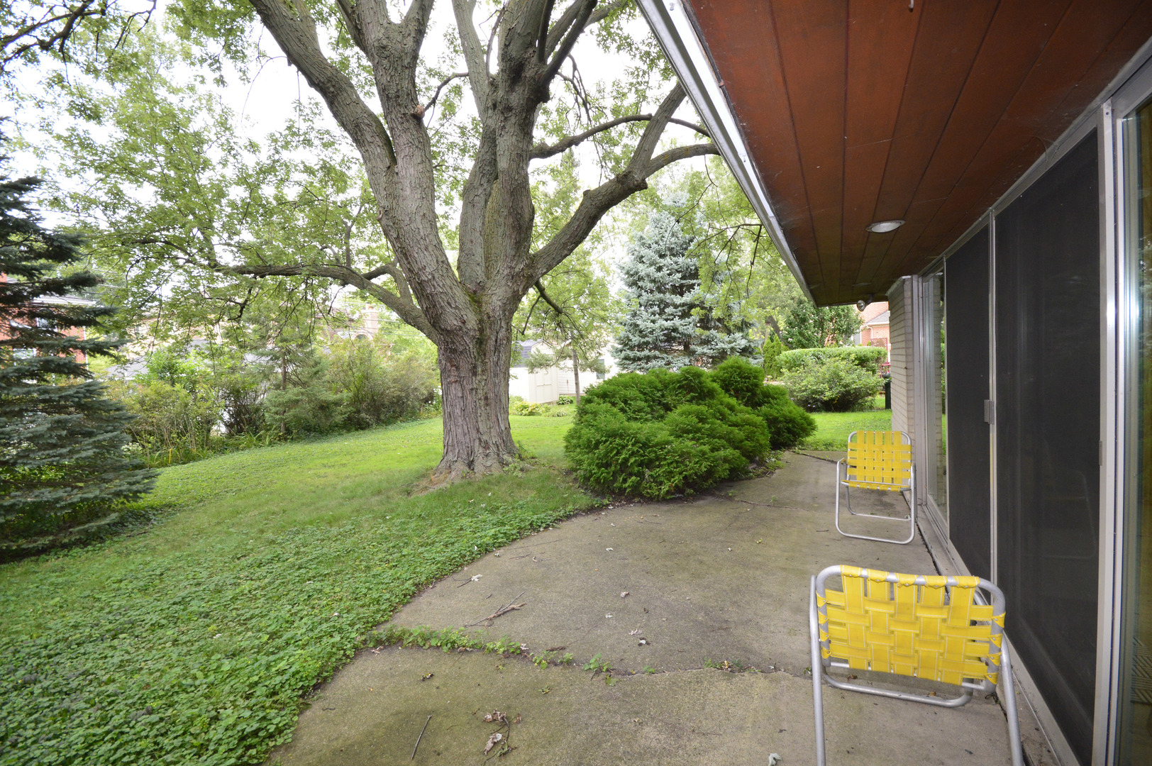 1746 Good Avenue Park Ridge, IL 60068 - Photo 9 of 11 a view of swimming pool with a backyard