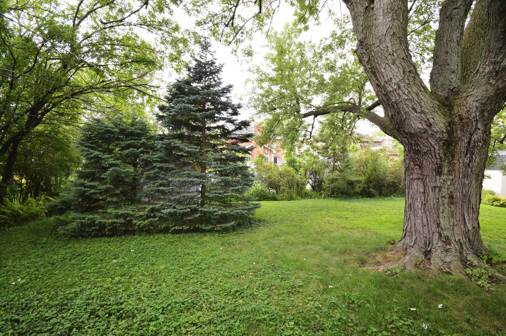 1746 Good Avenue Park Ridge, IL 60068 - Photo 10 of 11 a view of a yard with a tree