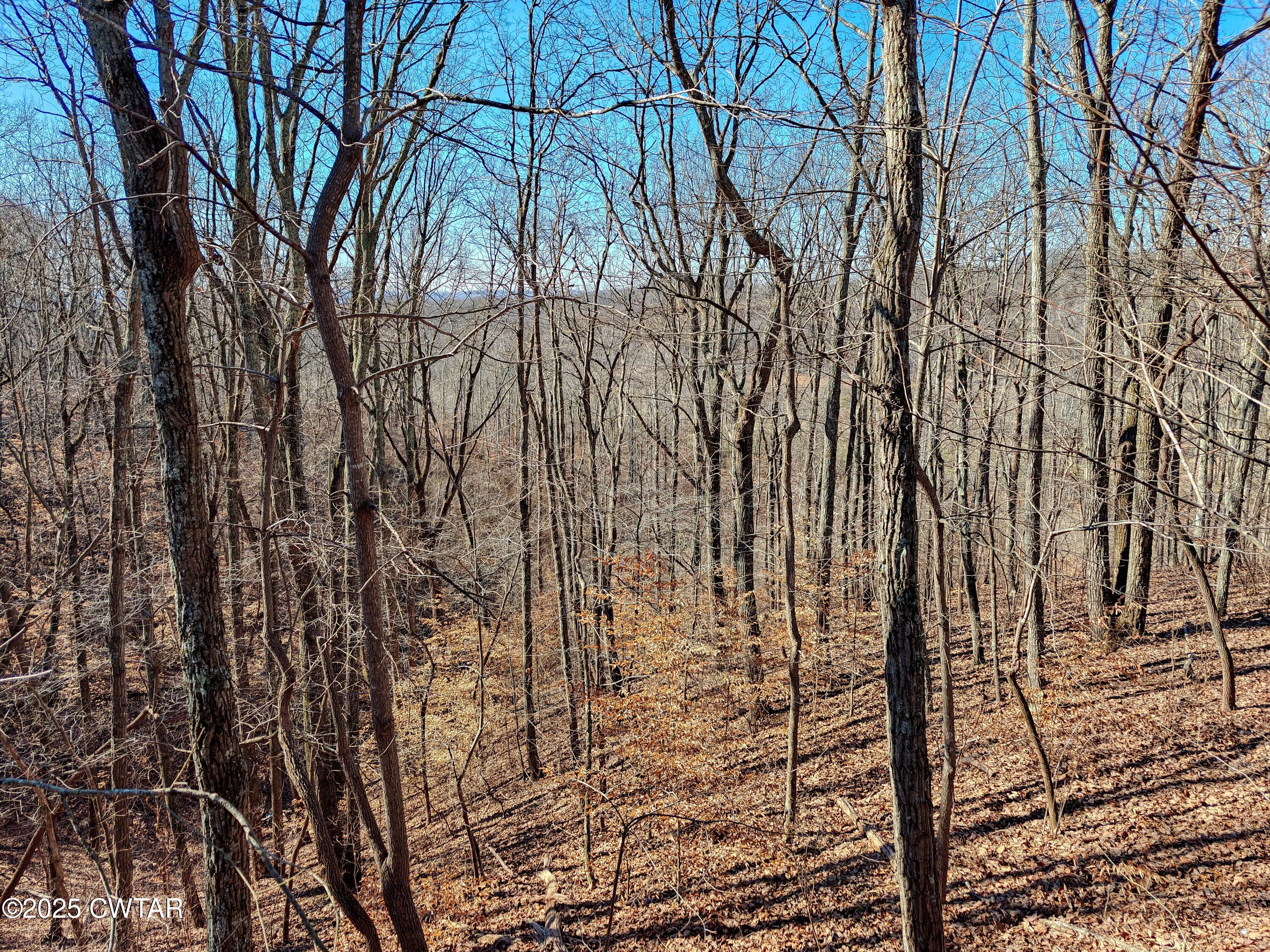 103 Grace Lane Eva, TN 38333 - Photo 25 of 25 a backyard of a house