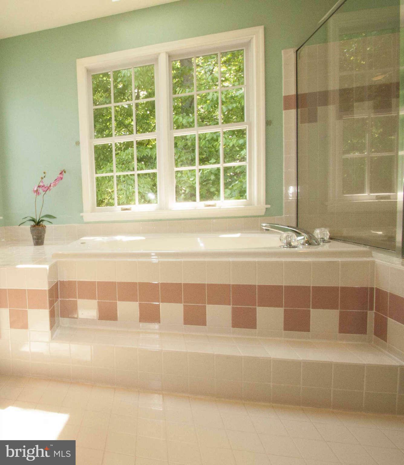 3 Little River Road Laurel, MD 20724 - Photo 12 of 30 Bath (Master)
