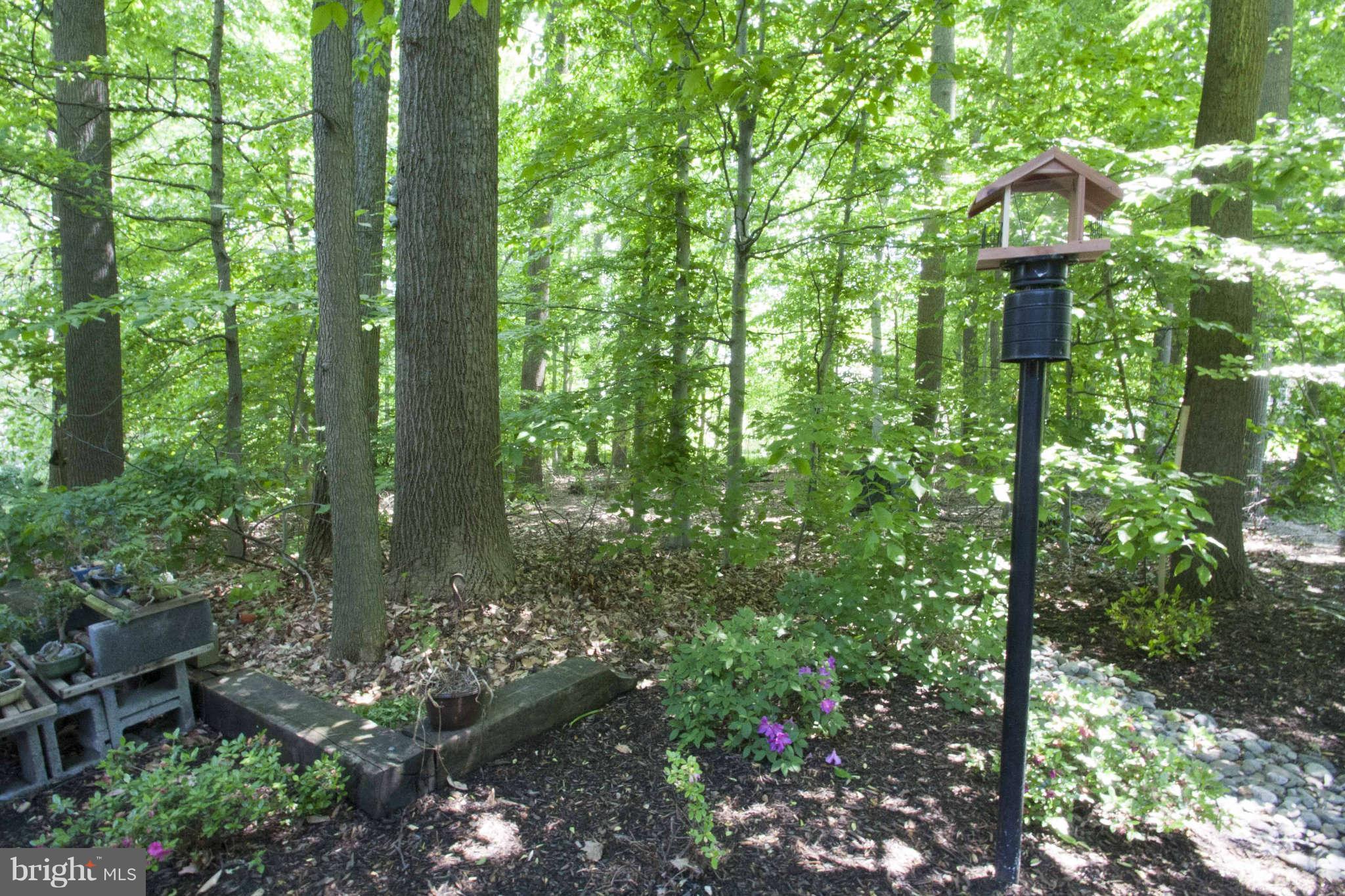 3 Little River Road Laurel, MD 20724 - Photo 27 of 30 Exterior (General)