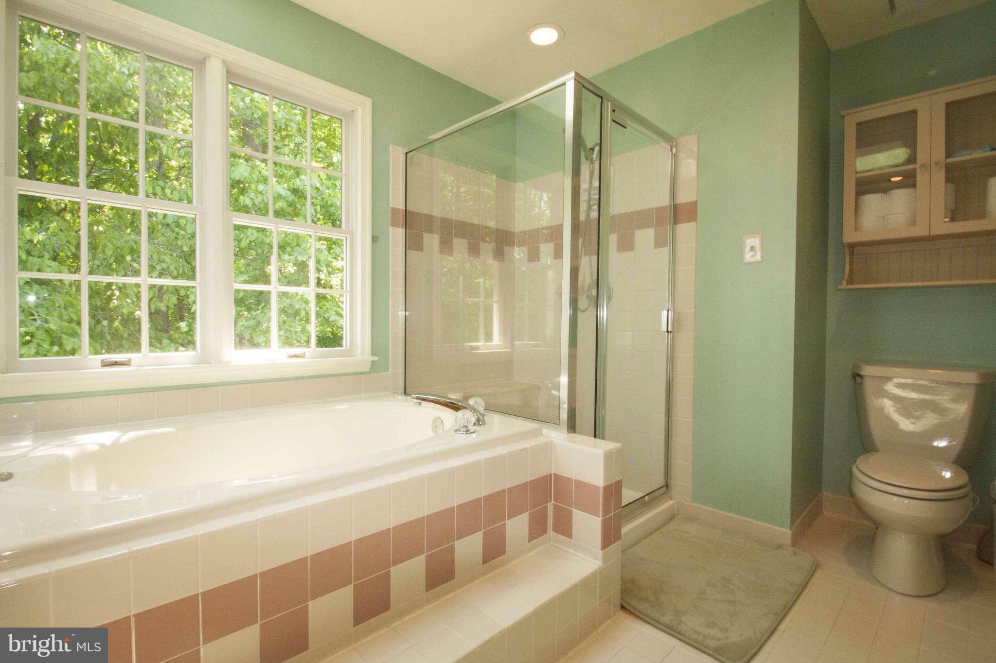 3 Little River Road Laurel, MD 20724 - Photo 10 of 30 Bath (Master)
