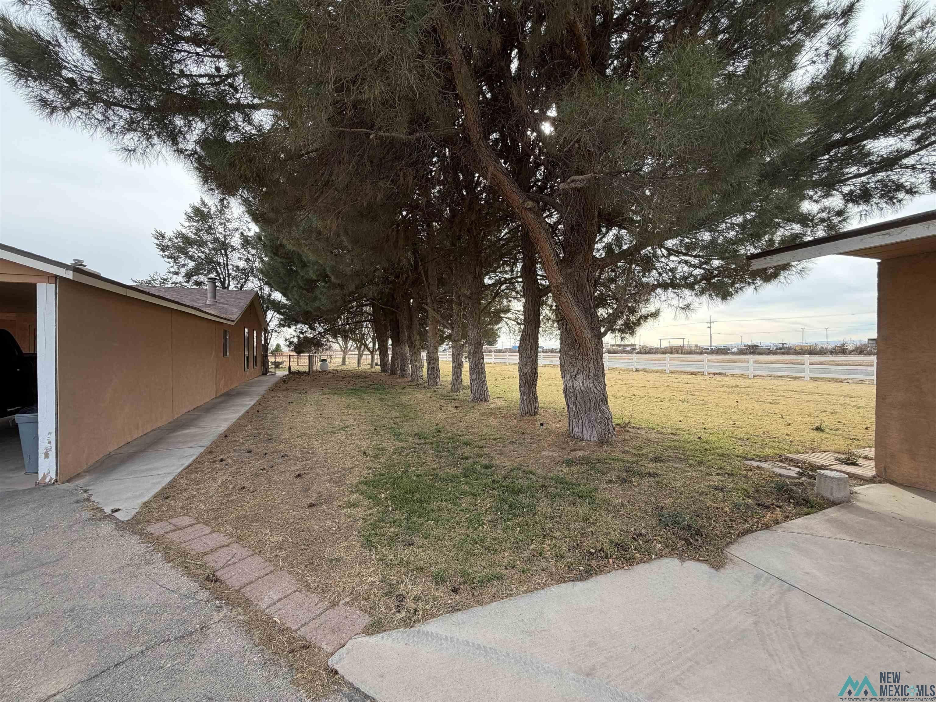 2001 East Derrick Road Carlsbad, NM 88220 - Photo 10 of 84 View of yard