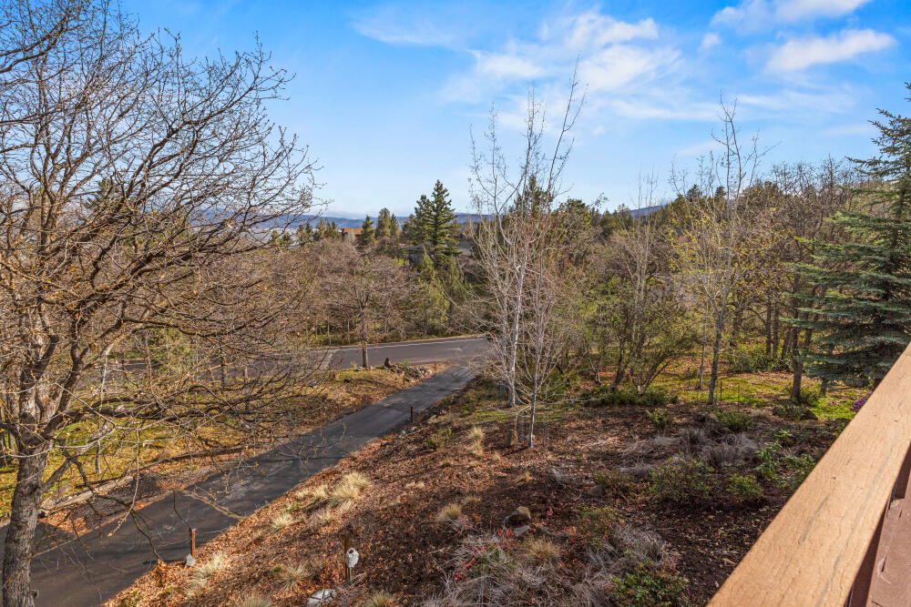 6586 Cooper's Hawk Road Klamath Falls, OR 97601 - Photo 55 of 68 a view of a forest filled with trees