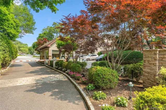 a view of a street with plants and a trees